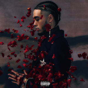 尹人在线最新香蕉视频
