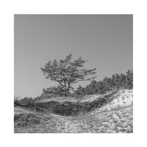 尹人在线最新香蕉视频
